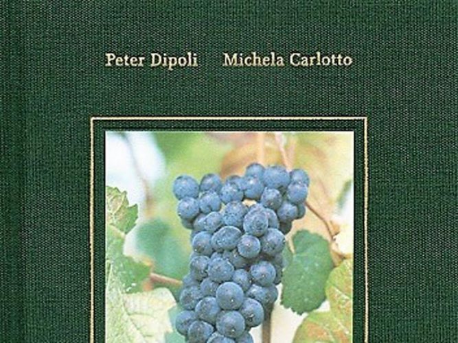 Libro Mazzon e il suo Pinot Nero - emotions magazine - rivista viaggi - rivista turismo