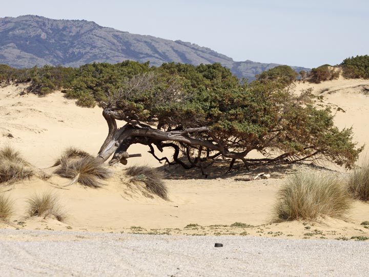 le suggestive dune di Piscinas - vino carignano sulcis - emotions magazine - rivista viaggi - rivista turismo