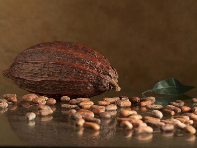 semi di cacao- festival gastronomico domenicano 2018 - emotions magazine - rivista viaggi - rivista turismo