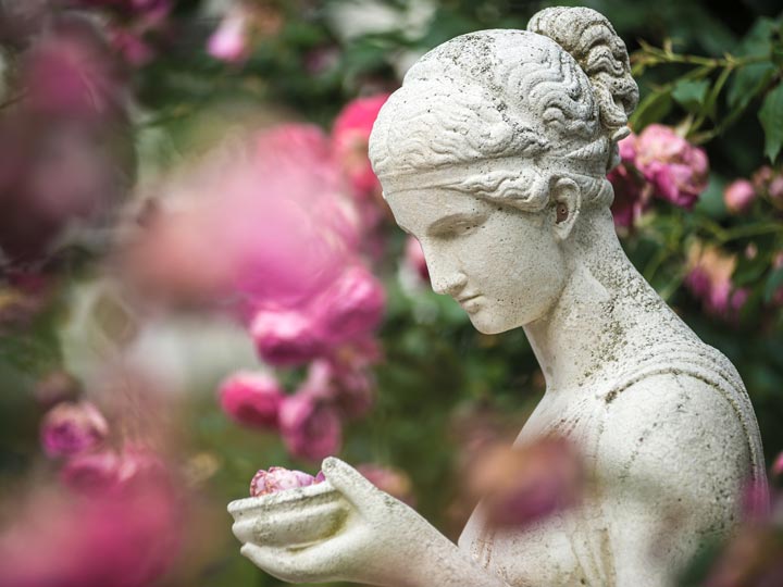 Baden-Baden - Giardino delle rose Beutig - viaggio baden germania - emotions magazine - rivista viaggi - rivista turismo