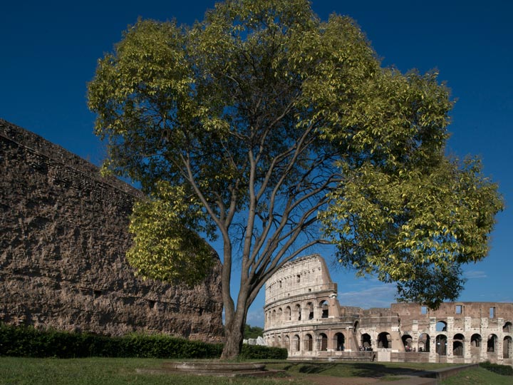 progetti valorizzazione parco archeologico colosseo roma 2018-2019-2020 emotions magazine - rivista viaggi - rivista turismo