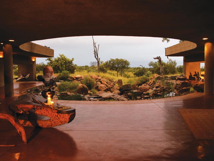 patio - viaggio savana sud africana - emotions magazine - rivista viaggi - rivista turismo