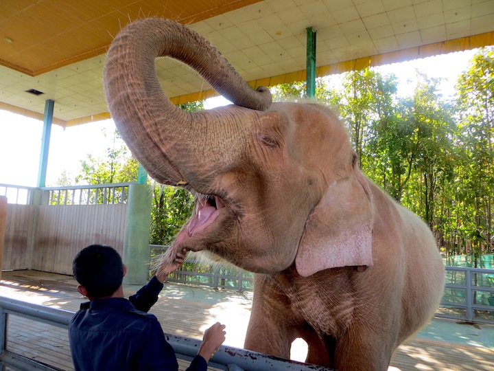 7 FOTO) Uno degli elefanti bianchi di Naypyidaw