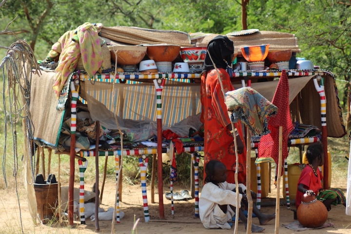 In Chad per il Gerewoll, la festa dei pastori Peul (3)