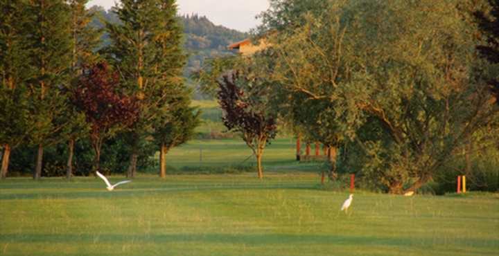 it-panicale-speciale-golf-in-umbria-3b69f